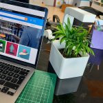 Akıllı Bitki Büyütme Saksısı